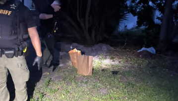 Woman arrested after cats found buried alive in her yard in Hobe Sound