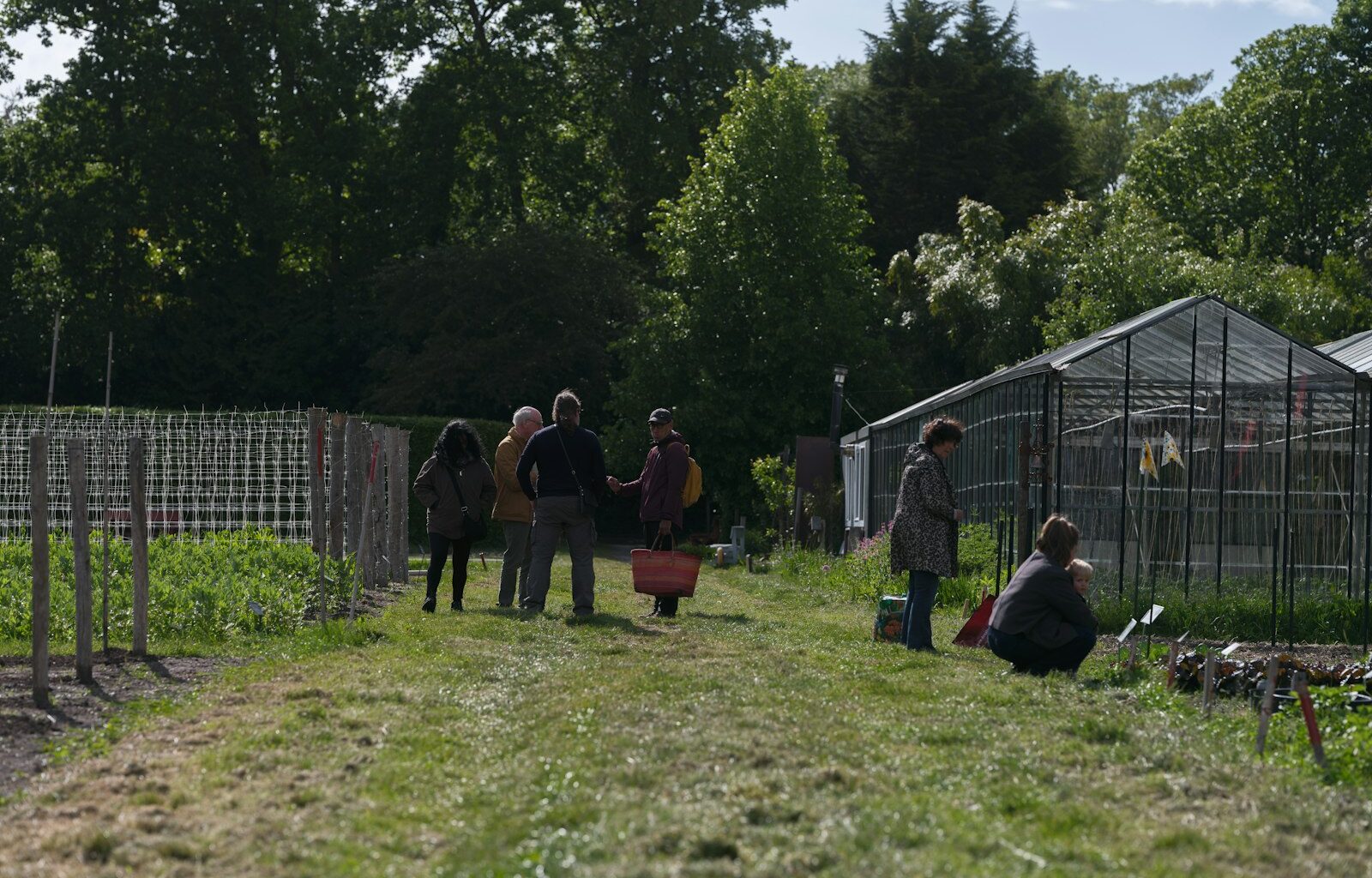 Extension offers November classes on housing and gardening
