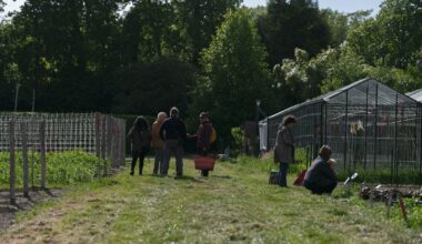 Extension offers November classes on housing and gardening
