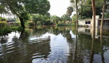 A flooded residential area with standing water reflecting trees and plants.