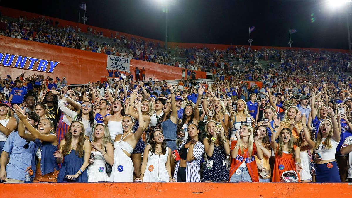 Florida Gators fans cheer during a game at Ben Hill Griffin Stadium in Gainesville.
