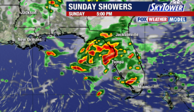 Tampa weather: Windy conditions to subside before rain arrives this weekend