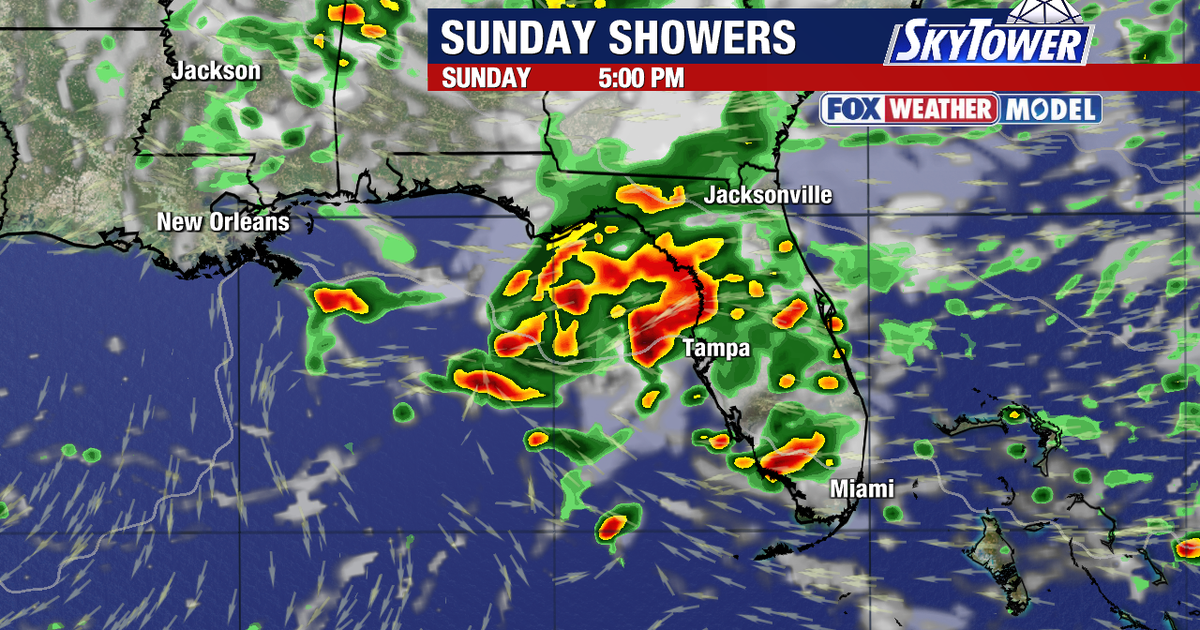 Tampa weather: Windy conditions to subside before rain arrives this weekend