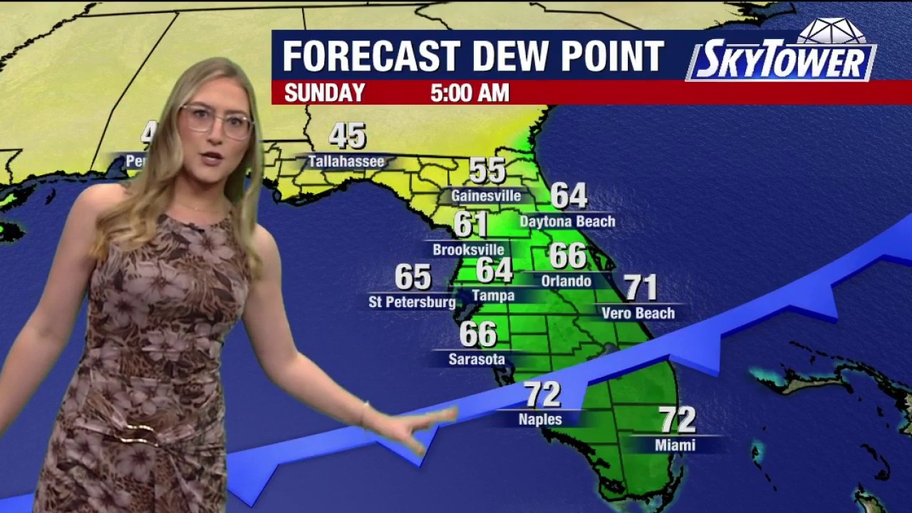 Tampa weather | Wednesday morning forecast