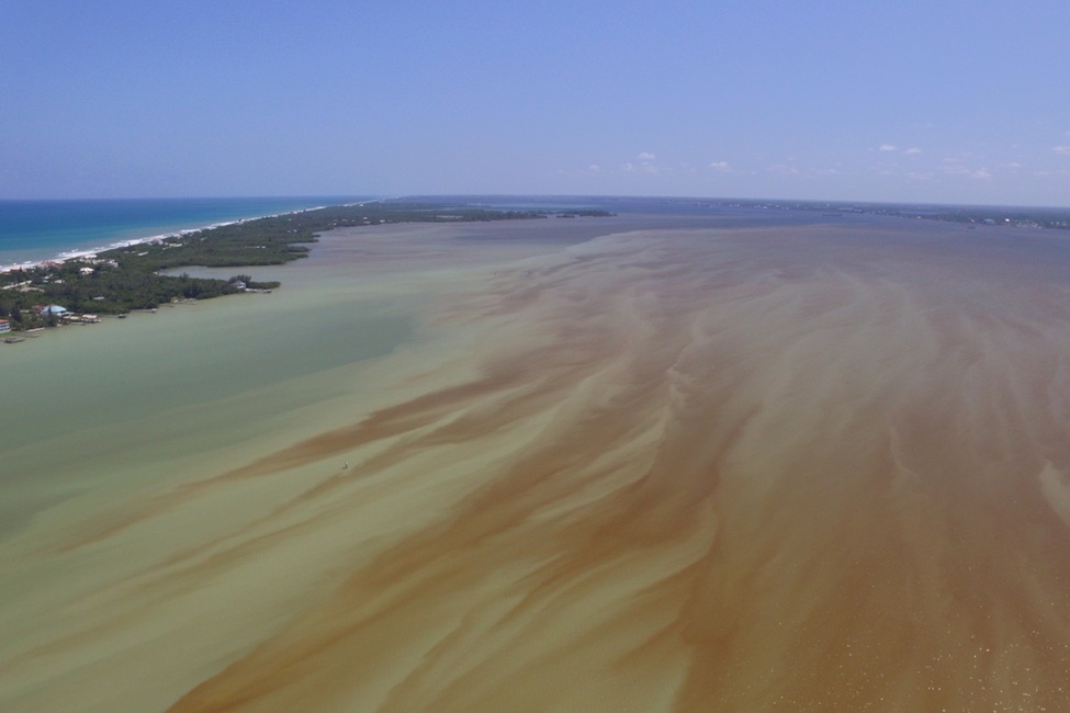 Sebastian Inlet, Harmful Algal Blooms