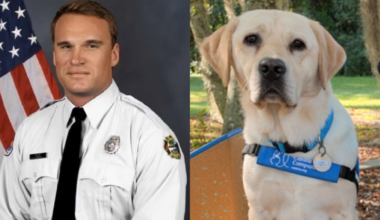 Hearing dog Jebby is set to graduate in honor of Orlando firefighter