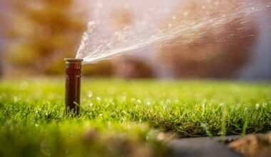 Orange County watering restrictions will begin November 1