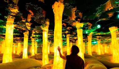 Dopamine Land is set to open at The Florida Mall Nov. 20