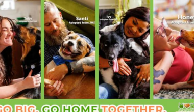 JHS seeks to boost adoptions for its largest shelter dogs