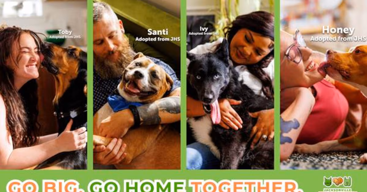 JHS seeks to boost adoptions for its largest shelter dogs