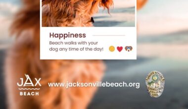 Jax Beach returns all-day dog access for the month of October – Action News Jax