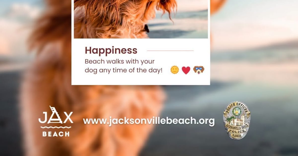 Jax Beach returns all-day dog access for the month of October – Action News Jax