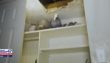 ‘My Dining Room Is a Mini Pool’: Jacksonville Tenant Battles Flooding, Ceiling Damage