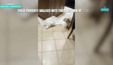 Florida Dad Wakes Up at 3:30AM to Find Kitchen in Complete Chaos