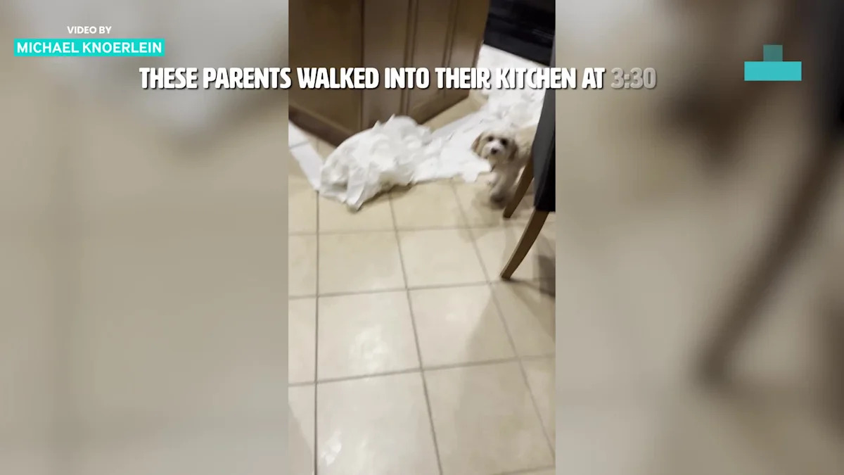 Florida Dad Wakes Up at 3:30AM to Find Kitchen in Complete Chaos