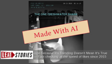 Fact Check: FAKE Security Camera Video Shows A Large Bull Shark Near Dock In Cape Coral, Florida, Is AI-Generated