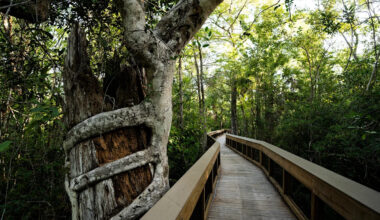 3 To Do: Big Cypress event; Farmer Mike’s Fest; Cape Coral Bike Night