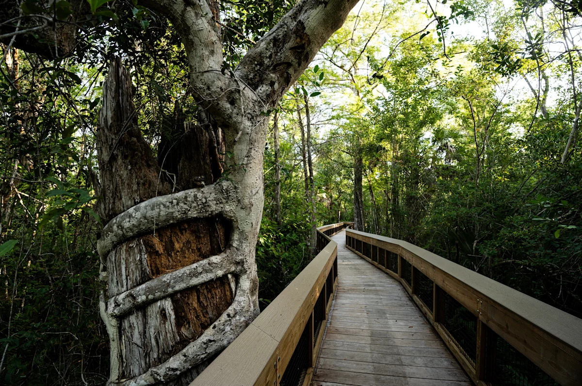 3 To Do: Big Cypress event; Farmer Mike’s Fest; Cape Coral Bike Night