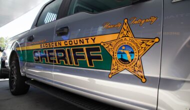GCSO: Tallahassee man fired shots into vehicle, injured woman in Havana