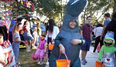 Tampa neighborhood lands in Reese’s trick-or-treatiest streets