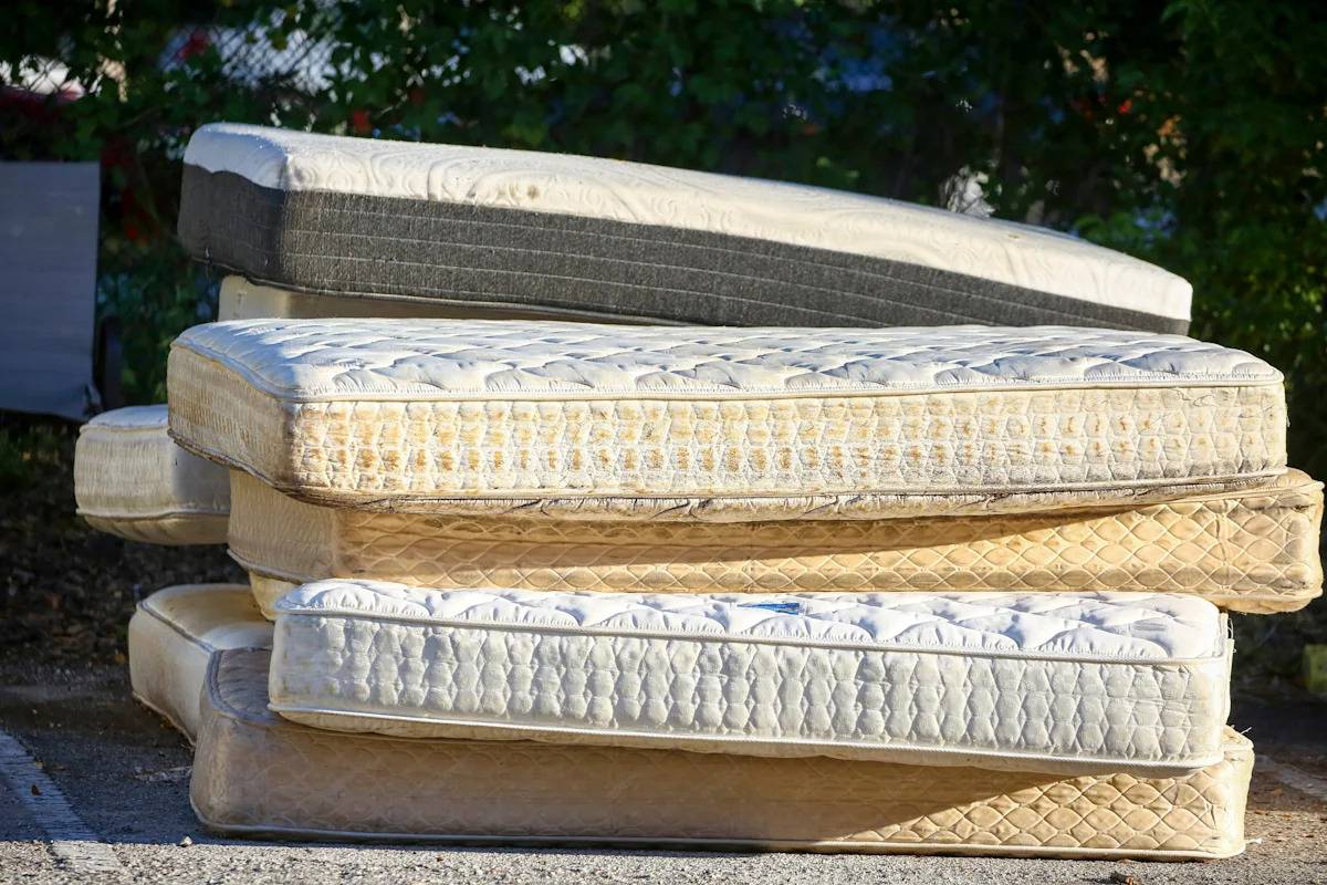 Does Tampa have a bed bug problem?