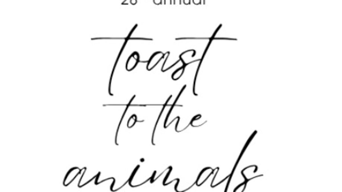 Jacksonville Humane Society hosts Annual Toast to the Animals event; get tickets here