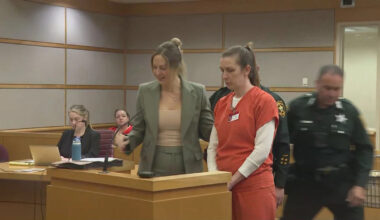 St. Pete mother accused of killing 4-year-old son to plead not guilty by reason of insanity