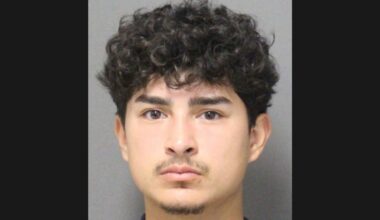 Speeding driver sentenced for killing pedestrian in Apopka, police say – Orlando Sentinel