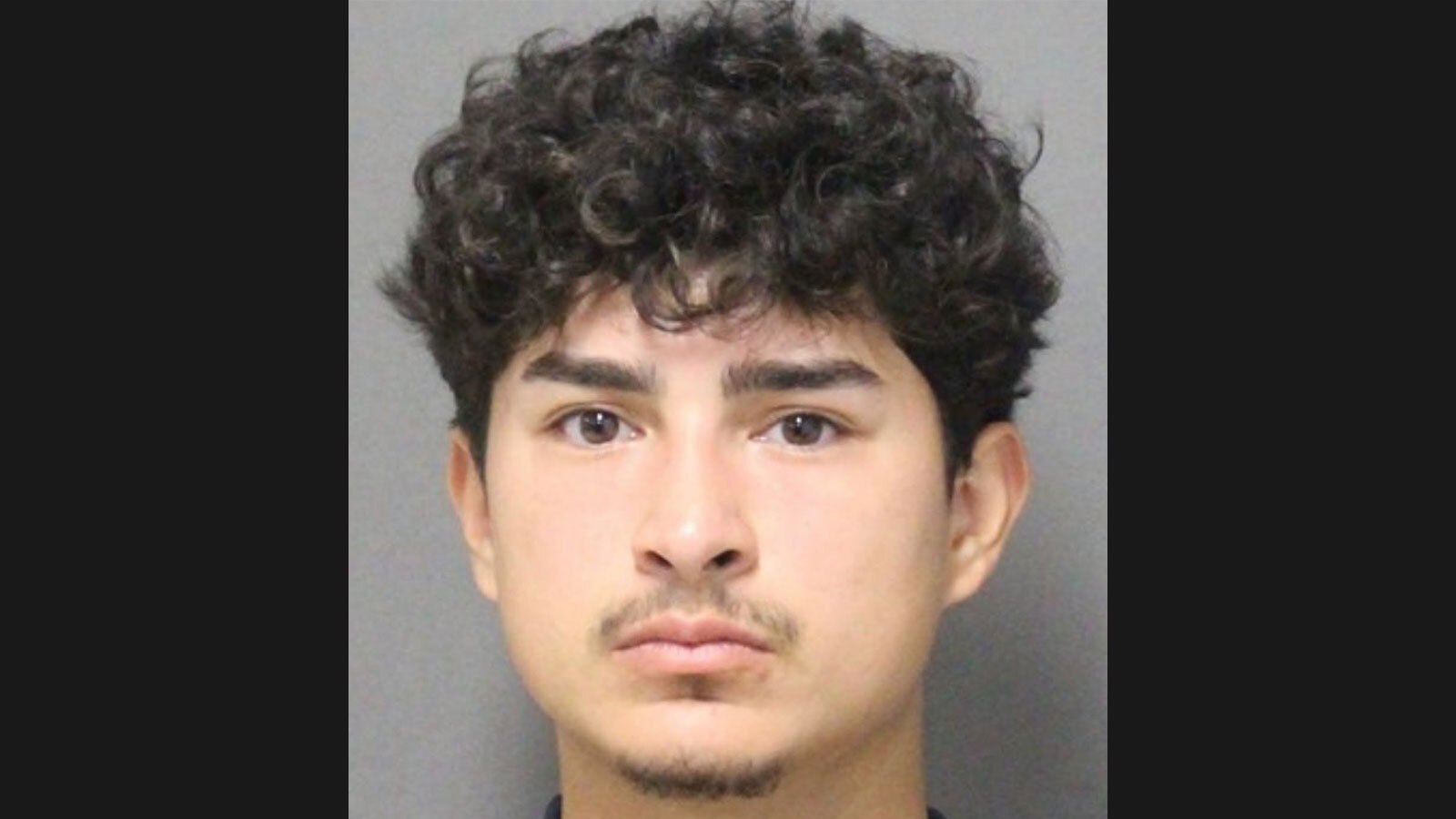 Speeding driver sentenced for killing pedestrian in Apopka, police say – Orlando Sentinel