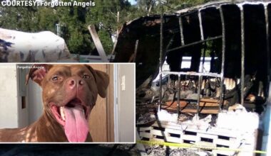 Largo man forced to start over after losing RV, belongings and dog in fire