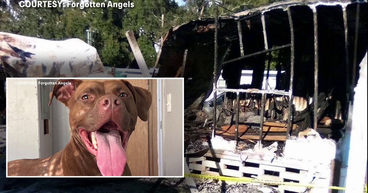 Largo man forced to start over after losing RV, belongings and dog in fire