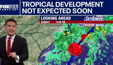 Tropical development not expected soon
