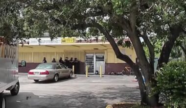 14 face charges in Lauderhill illegal narcotics crackdown