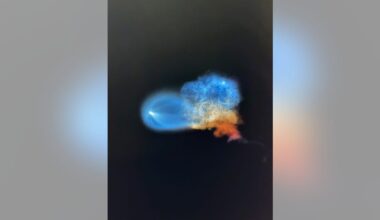 Photos: SpaceX CRS-35 launch creates 'space jellyfish' over Bay Area