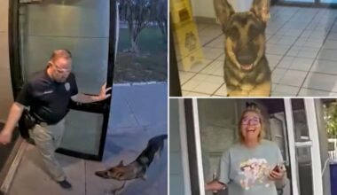 Florida lost dog ‘reports himself missing’ at Tampa police station, reunites with tearful owner