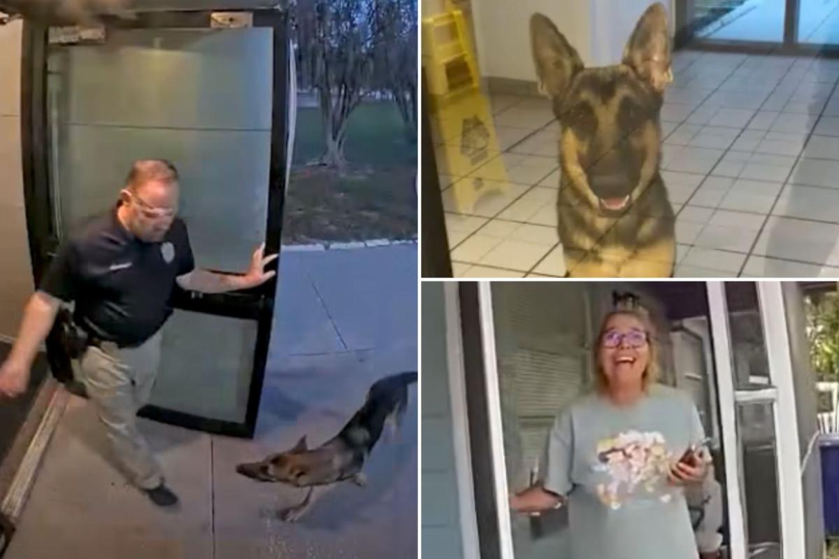 Florida lost dog ‘reports himself missing’ at Tampa police station, reunites with tearful owner