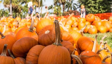 26 frighteningly fun things to do in Miami this Halloween