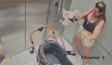 Hialeah woman behind bars after video shows her repeatedly beating dog, police say