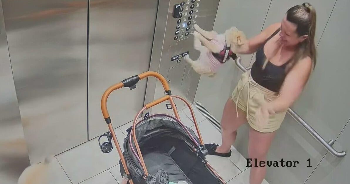 Hialeah woman behind bars after video shows her repeatedly beating dog, police say
