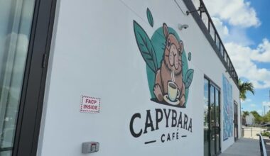 Fort Lauderdale's new Capybara Cafe draws PETA calls for closure as city cites owner's home