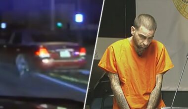 Dashcam shows battery and robbery suspect’s car being stopped by grappler in Hialeah – NBC 6 South Florida