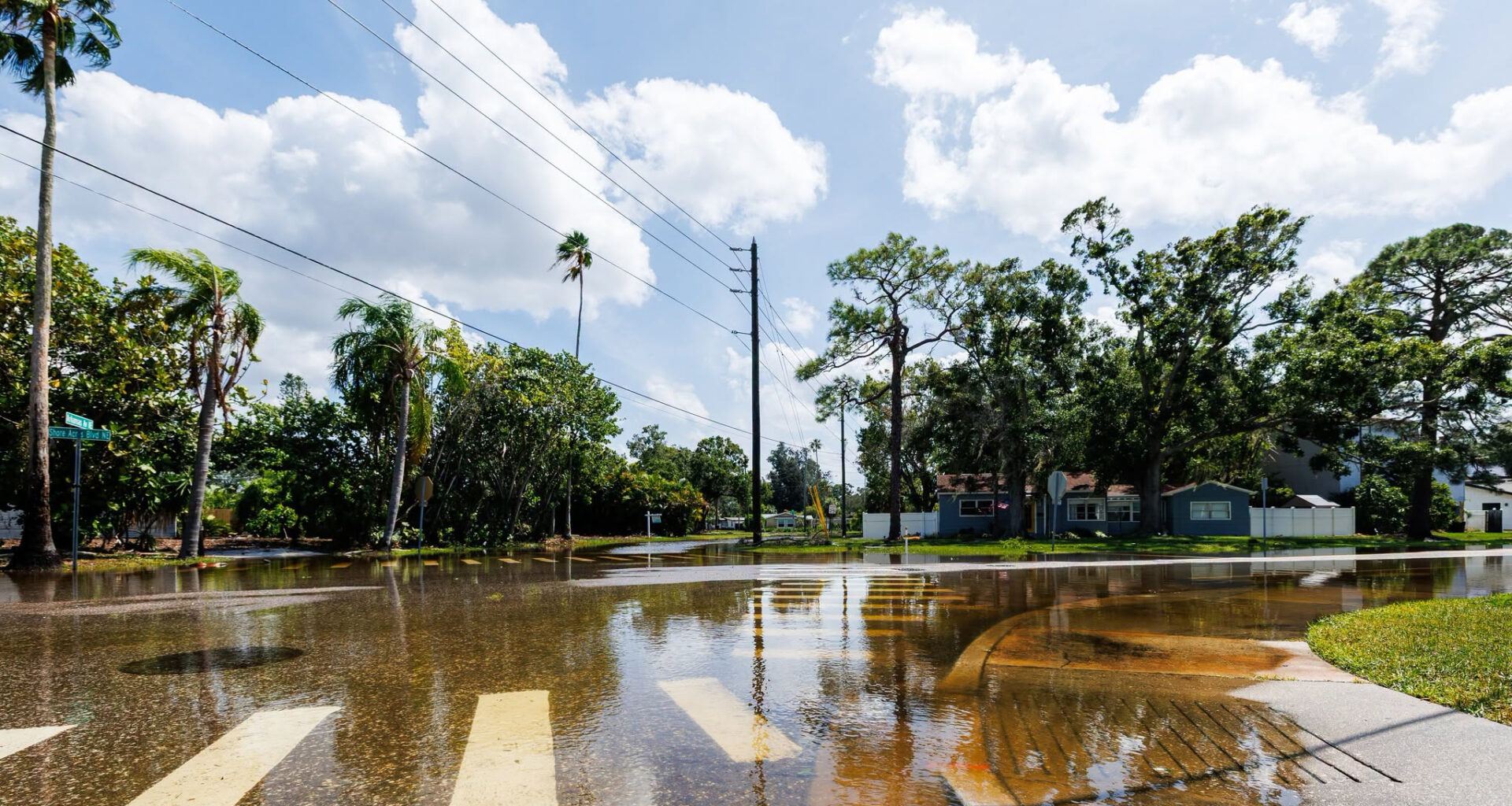 St. Pete turns to nature in its fight against flooding