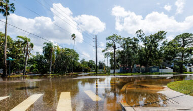 St. Pete turns to nature in its fight against flooding