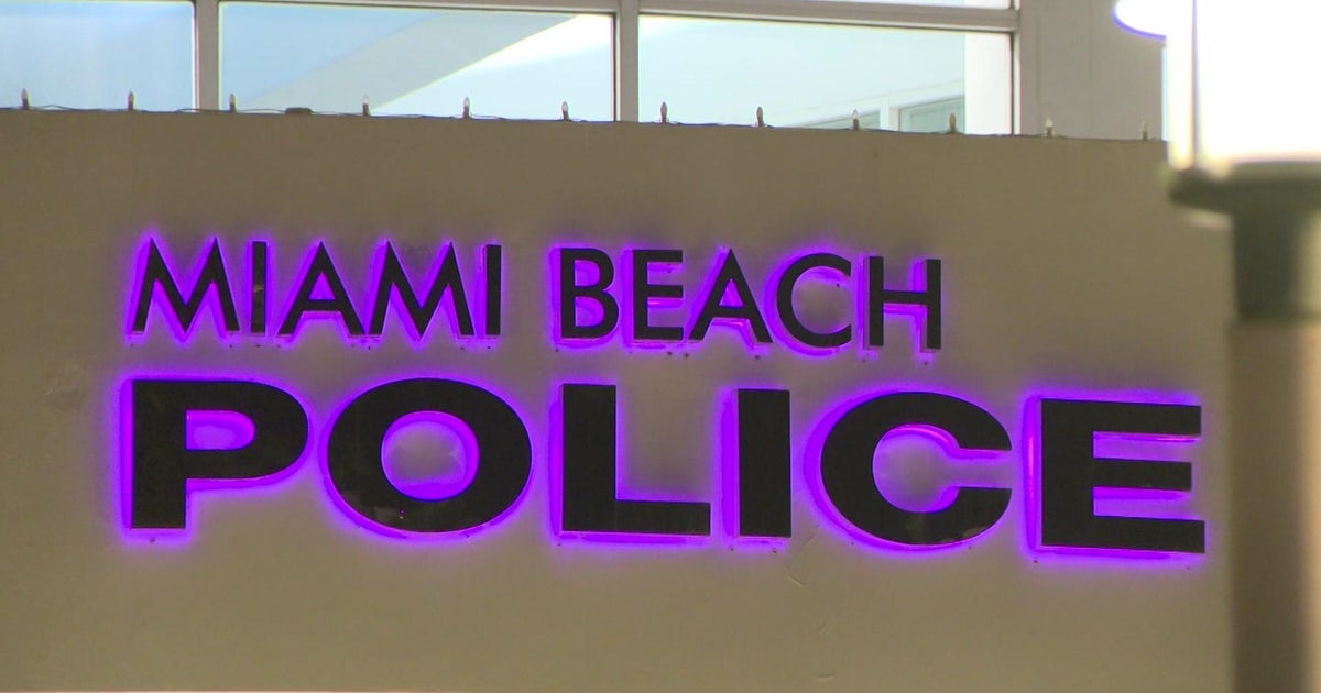 Miami Beach man arrested after 19 dogs found living in deplorable conditions, police say