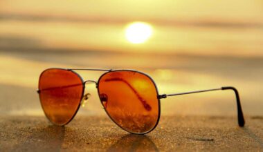 Fun things to do in South Florida