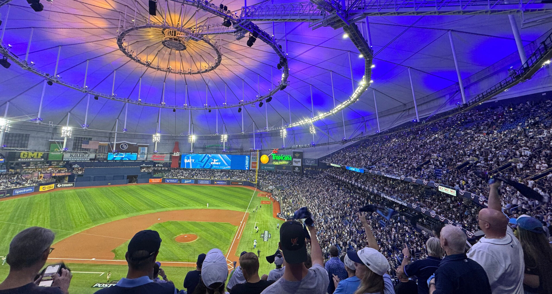 People celebrating at a Rays playoff game