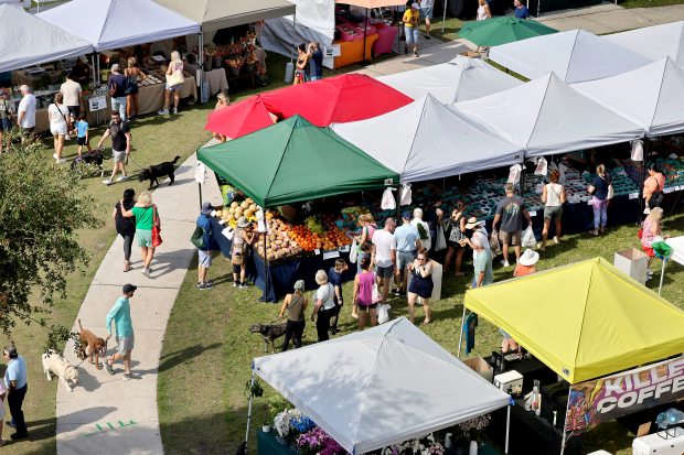 People gather at the Delray GreenMarket at the Old School Square in Delray on Saturday May 17, 2025 for the final time this season. The summer market opens May 31st, and runs through July 26th. (Mike Stocker/South Florida Sun Sentinel)