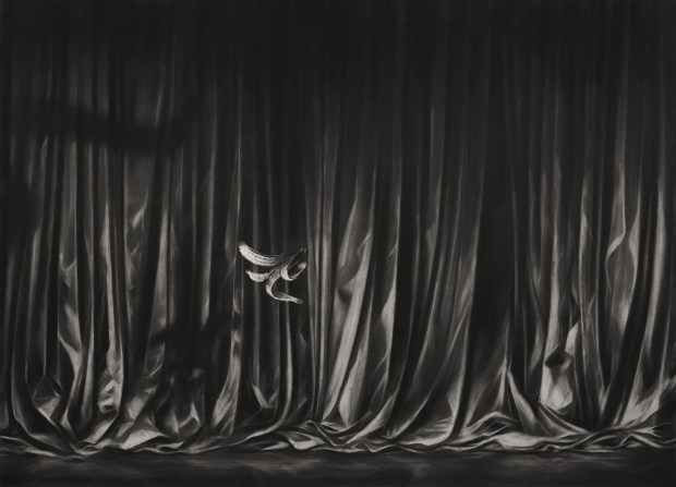 Gonzalo Fuenmayor's charcoal-on-paper work "The Slip" is part of "Gonzalo Fuenmayor: Lights, Camera, Bananas! The Spectacle of Politics," opening April 24, 2027, at the Boca Raton Museum of Art. (Gonzalo Fuenmayor and Dot FiftyOne Gallery / Courtesy)