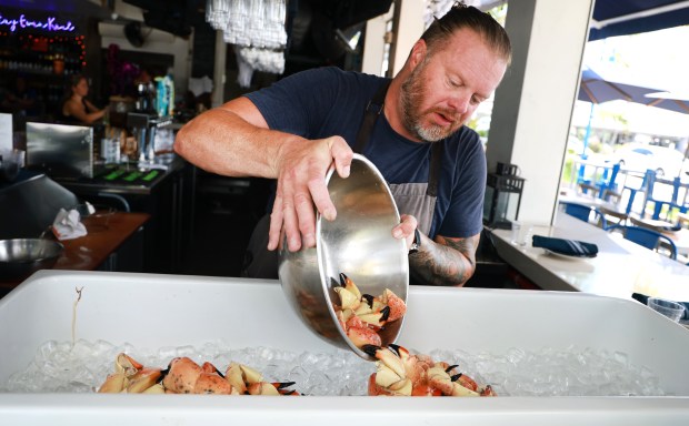 Brad Phillips, chef and owner of Even Keel restaurant in Lauderdale-By-The-Sea, pours out freshly delivered stone crabs for sale on Friday, Oct. 16, 2026. (Carline Jean/South Florida Sun Sentinel)