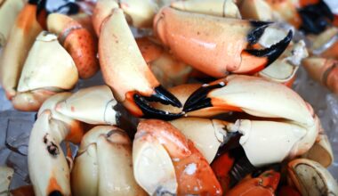 Here's how much Florida stone crabs cost as 2026-27 season kicks off
